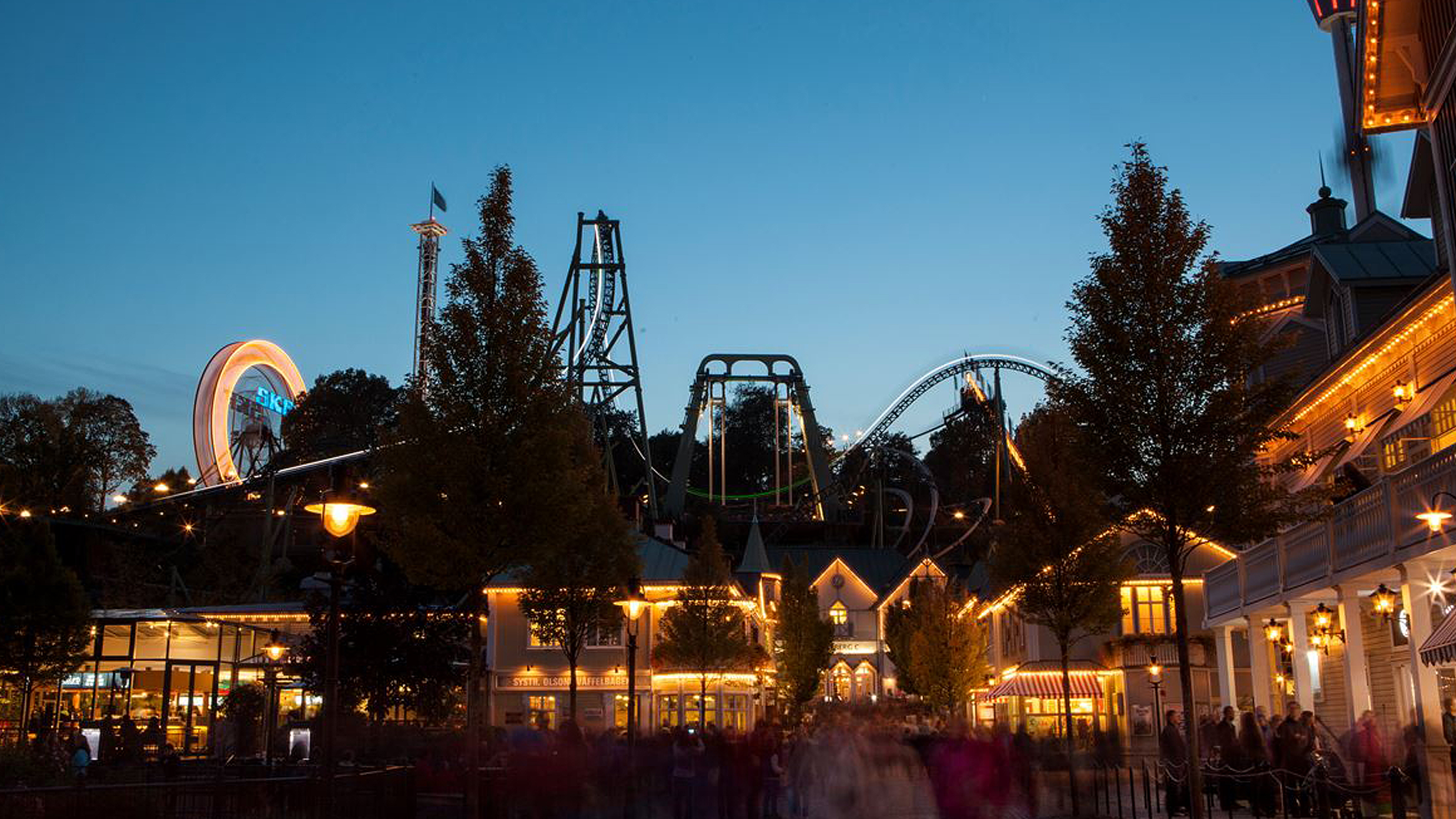 Houses and roller coaster at night
