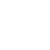 Icon AI CPU